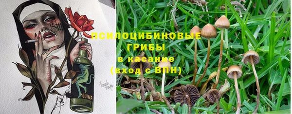 MDMA Алексеевка