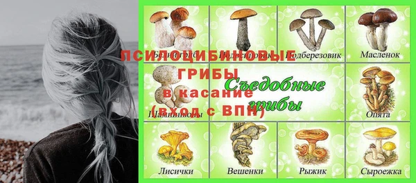 мет Алексин