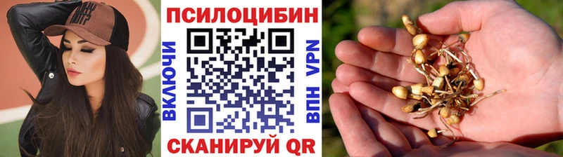 закладка Арамиль Галлюциногенные грибы Psilocybe