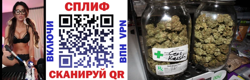 купить закладку  Арамиль  Марихуана индика 